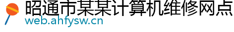 昭通市某某计算机维修网点